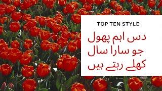 Top 10 Whole Year Gloaming Flowers in urdu/hindi