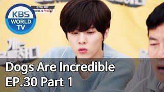 Dogs are incredible | 개는 훌륭하다 EP.30 Part 1 [SUB : ENG,CHN/2020.06.10]