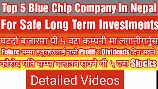 Top 5 Company For Investment in Share Market | Best Company | Blue Chip Company 2022 | Share Market