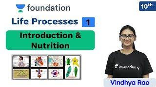 CBSE Class 10: Life Processes - L 1 | Biology | Unacademy Foundation | Vindhya Ma'am