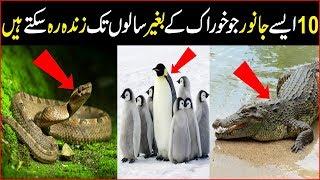 Top 10 Which Animal Can Live Without Food For Lifetime | The Urdu Information