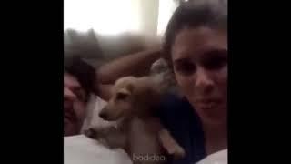 Funny moments whith animal.TOP 10 MOMENT 2020