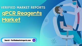 Top 10 Company In qPCR Reagents Market Size And Forecast - Verified Market Reports