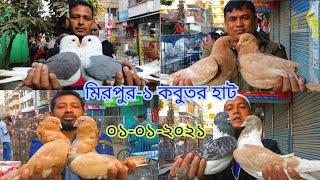 মিরপুর-১ কবুতরের হাট | Biggest fancy pigeon market in mirpur-1 | mirpur-1 bird market পর্ব-১০