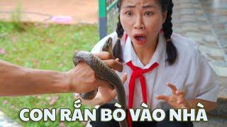 (ĐÁNG SỢ) Con Rắn Này Đã Bò Vào Nhà Chị Thơ  