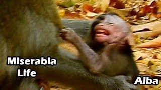 Unfortunately Life ALBa Born With Evil Mum ANNa | Tiny Baby ALBa Cries Sad Face Ask Mum MIlk