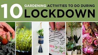 10 gardening activities to do during lock down | Gardening How to | Urban gardening | DIY