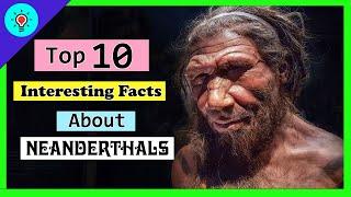 Top 10 Interesting Facts About The Neanderthals (Bibble + Science) 2022 - Whats Best