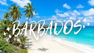 Top 10 Things To Do in Barbados