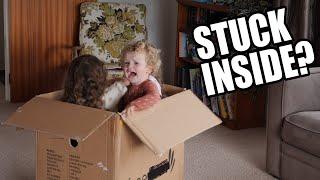 HOW TO ENTERTAIN KIDS WITH A CARDBOARD BOX