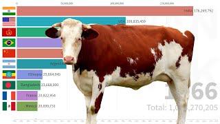 Top 10 Cattle Stocks (head) Countries from 1961 | FAO DATA