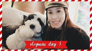 VLOGMAS DAY 5 