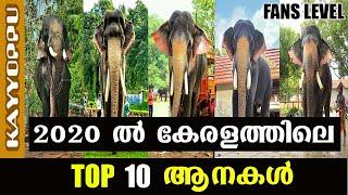 Top 10 popular elephants in kerala 2020 and details | കേരളത്തിലെ 10 പ്രശസ്തരായ ആനകൾ | kayyoppu