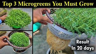 How to Grow Top 3 Microgreens in Water | How to Grow Microgreens at Home without soil (FULL GUIDE)
