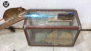 Top 10 Mouse/ Rat Trap | Best Idea Mouse Trap electric