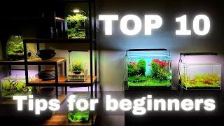 TOP 10 PLANTED AQUARIUM TIPS FOR BEGINNERS (in order of importance)