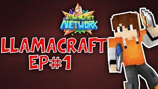 LLAMACRAFT GRIND TO THE TOP!