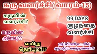 Baby Growth week -15||கரு வளர்ச்சி வாரம் -15||Baby Growth week by Week ||4 month Baby development