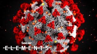 What Is the New Coronavirus?