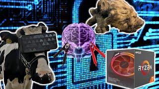 Cows Using VR - 18 Thousand Year Old Dog Discovered! | BrainBooster #10