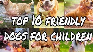 TOP 10 FRIENDLY DOGS FOR FAMILY AND CHIDREN |PROLIX STUDIO|