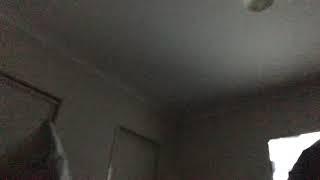 Top 10 How to make money