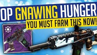 Destiny 2 | OP GNAWING HUNGER! How To Get The BEST Legendary Auto Rifle!