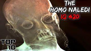 Top 10 Extinct Human Species You Were Never Supposed To Learn About