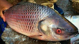 Indian Street Fish Market | Big Rohu Fish Cutting and Chopping by a Fish Cutting Expert