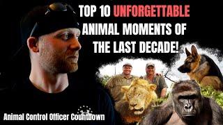 TOP 10 MOST UNFORGETTABLE Animal Moments Of The Past Decade! - Officer Paw Patrol