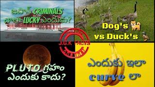 Top 10 facts in Telugu ep 1