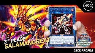 Yu-Gi-Oh! SALAMANGREAT Deck Profile! (3rd Place - WCQ Regionals) - March 2020 - Marios Stylianou