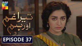 Tera Ghum Aur Hum Episode 37 HUM TV Drama 4 November 2020