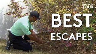 Greatest Escapes of the Year | Best of 2019