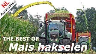 The Best Of ● Mais Hakselen 2019 ● Harvesting Maize ● Häckseln ● Chopping Corn ● Kukurydza ● NL.