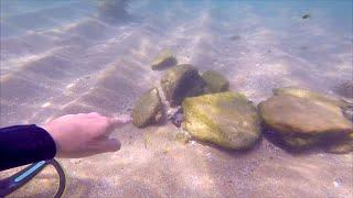 Metal Detecting UNDERWATER Found GOLD what's that BETWEEN the ROCKS!!