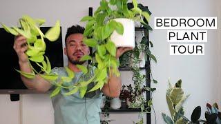 Bedroom Houseplant Collection Tour | Where The Magic Happens