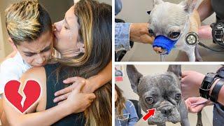 WE RUSHED Our DOGS To The HOSPITAL! **EMOTIONAL** 