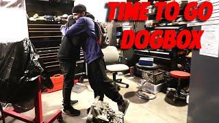 BUYING A DOGBOX TRANSMISSION FOR MY BEST FRIEND