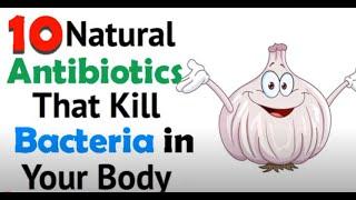 Top 10 Natural Powerful Antibiotics For Your Body