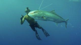 TOP 10 SHOTS (Part 2)  - Pesca Submarina en Canarias