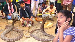 AMAZING STREET PERFORMERS