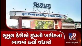 SUMUL Dairy increased milk procurement prices by Rs 10 | TV9GujaratiNews