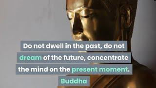 Top 10 Buddha Quotes That Can Change Your Life | Inspirational Quotes