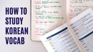 How I study Korean for TOPIK + schedule & apps | Study with me | 한국어능력시험 어휘 공부법