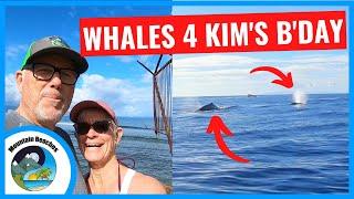 TOP THING TO DO ON MAUI - WHALE WATCHING