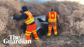 Tumbleweed invasion traps cars and truck on US highway