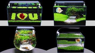 Top 5 Aquarium Decoration Ideas | Diy Aquascape | How To Make Nano Fish Tank From Seeds At Home