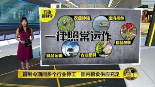 八点最热报 05/04/2020 管制期供应与生产线可运作   国内粮食供应充足