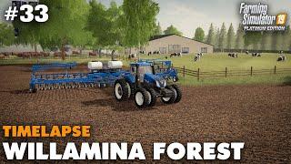 Willamina Forest #33 Farming Simulator 19 Timelapse Seasons